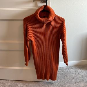 Sweater Dress turtleneck